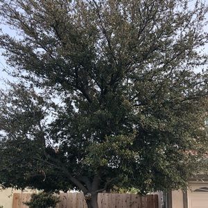 Meet your Posher, Belinda